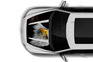 Eagle Print Hood Graphics Decals Compatible with Ford F150 2015-2020