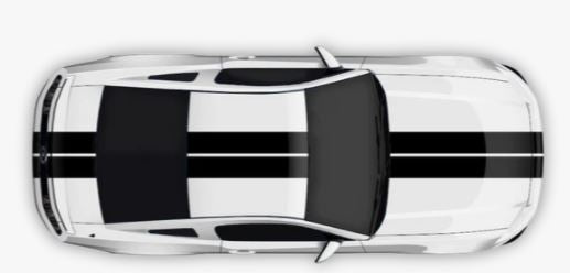 Dual Line Stripes Decals Graphics Vinyl Compatible with Ford Mustang