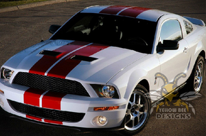 Dual Stripes Decals Graphics vinyl graphics for ford Mustang decals