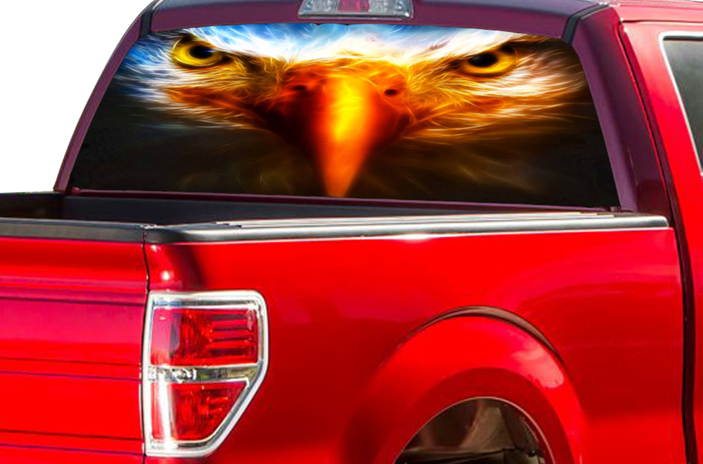 Bald Eagle Eyes Rear Window Graphic